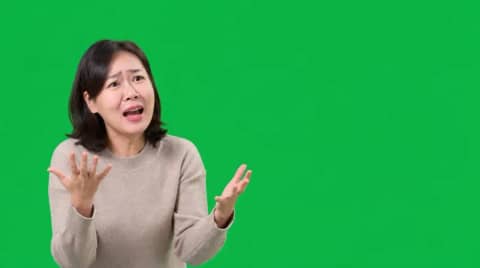 예능 리액션 · 억울 해명 (그린스크린 16:9)