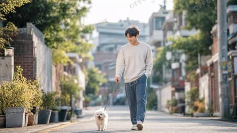 비롤 · 강아지와 골목 산책