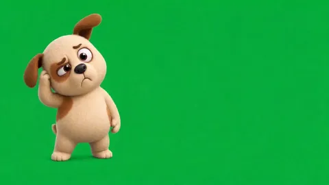 강아지 밈 영상 · 혼란 (5초)