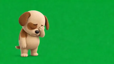 강아지 밈 영상 · 실망 (5초)